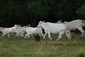 Februar 2013 070
